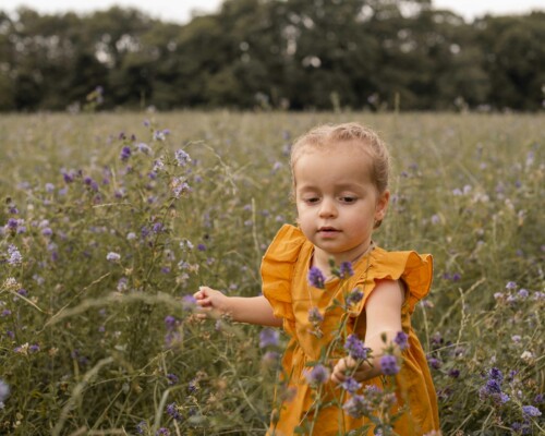 fillette-cueille-fleurs-berric