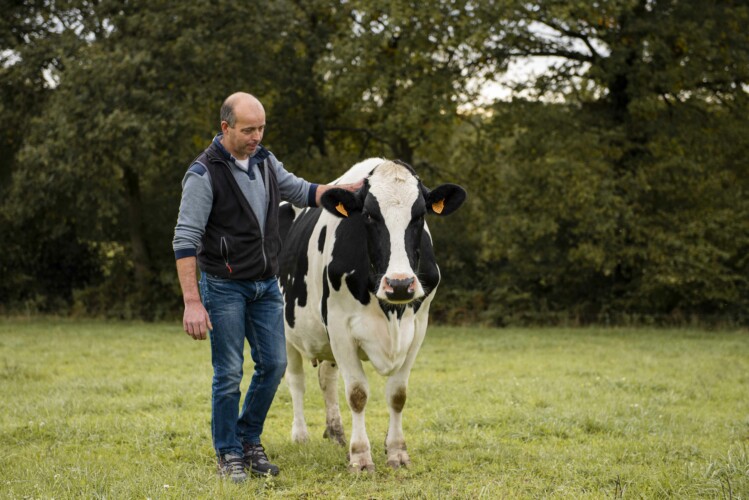 fermier-et-vache-entreprise-vannes