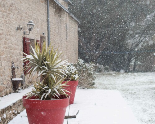 gite-neige-berric-morbihan