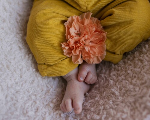 fleurs-petits-pieds